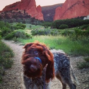 Meet your Posher, Brittany